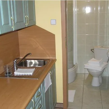 فندق مبيت وإفطار Pod Brzozami بوزنان