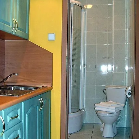 فندق مبيت وإفطار Pod Brzozami 3*