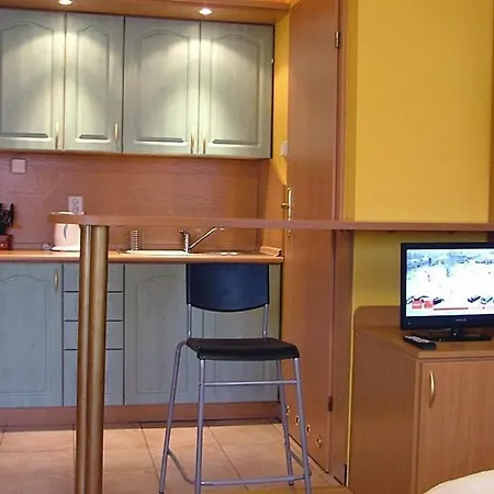 فندق مبيت وإفطار Pod Brzozami